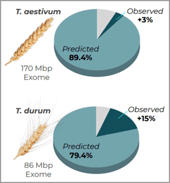 Wheat Exome Coverage Space 350